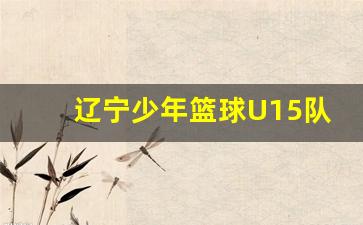 辽宁省u15篮球-辽宁少年篮球U15队员