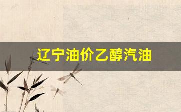 辽宁油价乙醇汽油价格表-辽宁油价乙醇汽油