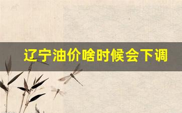 辽宁汽油价格92号调整_辽宁油价啥时候会下调呀