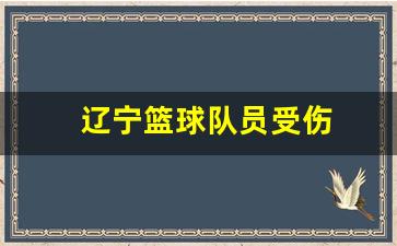 cba辽宁伤员-辽宁篮球队员受伤