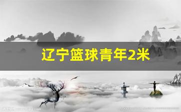 辽宁篮球青年2米-辽宁男篮青年