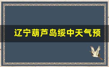 辽宁葫芦岛绥中明天有雨吗_辽宁葫芦岛绥中天气预报有雨吗