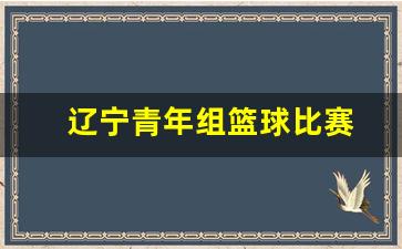 辽宁青年组篮球比赛-辽宁青年组篮球比赛时间