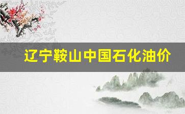 鞍山中石油油价_辽宁鞍山中国石化油价多少
