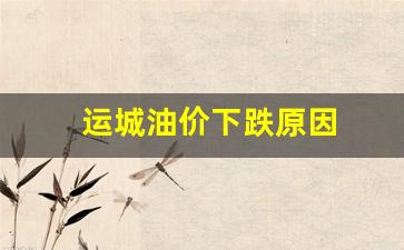 运城油价下跌原因-运城汽油的价格查询