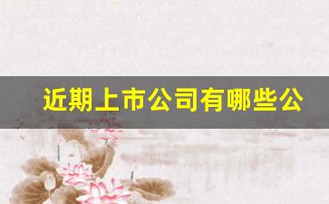 近期上市公司有哪些公司(成都的上市公司有哪些公司)_https://www.luoxuangg888.com_科创板_第1张