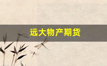 远大物产期货(远大物产期货案件)_https://www.gfdzclz.com_北交所_第1张