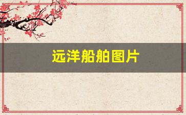 远洋船舶图片(远洋货船图片)_https://www.wanyuyiyao.com_上交所_第1张