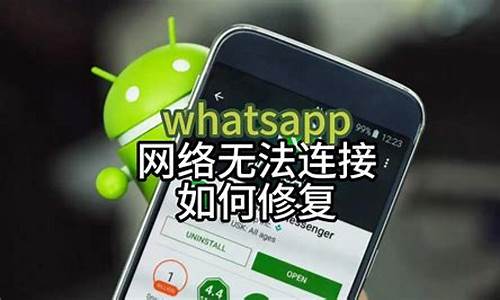 连接WhatsApp的网络