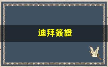迪拜簽證辦理攻略，詳解照片尺寸要求及申請(qǐng)流程