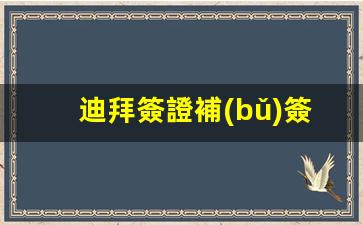 迪拜簽證補(bǔ)簽證單(2020年迪拜簽證)