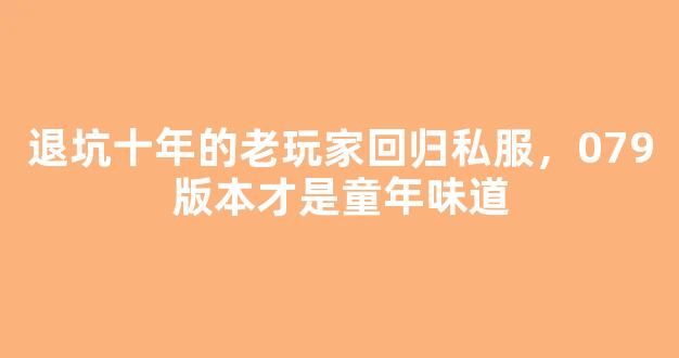 退坑十年的老玩家回归私服，079版本才是童年味道