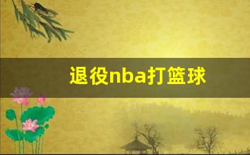 nba退役后-退役nba打篮球