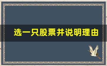 选一只股票并说明理由(选择一只股票哪些方面最重要)_https://www.dcjwmf.com_郑商所_第1张