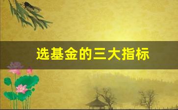选基金的三大指标(选基金要看哪些指数)_https://www.huakunhengjia.com_金融资讯_第1张