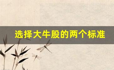 选择大牛股的两个标准