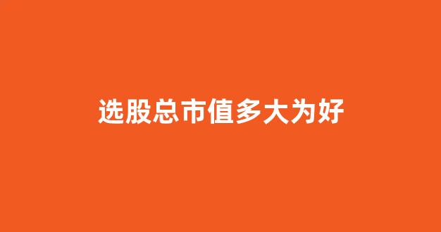 选股总市值多大为好(选股选市值大还是小的股)_https://www.brunchezvous.com_旅游攻略_第1张