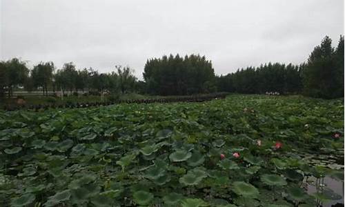 通化市梅河口市天气_梅河口市 天气