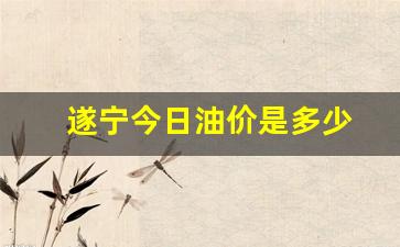 遂宁今日油价是多少-遂宁今日油价95号汽油