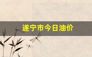 遂宁市今日油价-遂宁市今日油价表