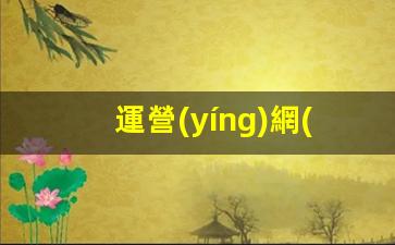 運營(yíng)網(wǎng)站有前途么插圖