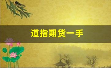 道指期货一手(道指期货交易时间)_https://www.fzdzcxj.com_深交所_第1张