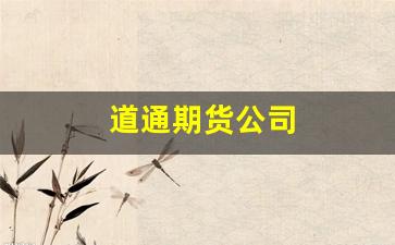 道通期货公司(道通期货海口营业部)_https://www.wguangz.com_大商所_第1张