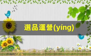 選品運營(yíng)怎么做插圖