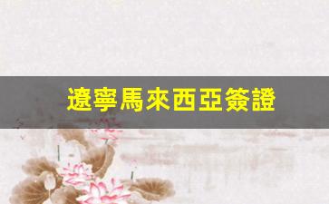 遼寧馬來西亞簽證(遼寧馬來西亞簽證中心官網(wǎng))