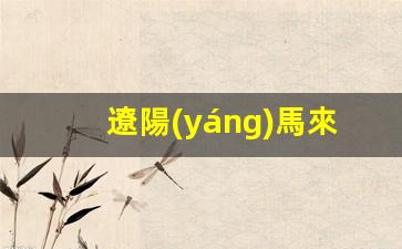 遼陽(yáng)馬來(lái)西亞入境簽證中心電話(遼陽(yáng)馬來(lái)西亞入境簽證中心電話是多少)