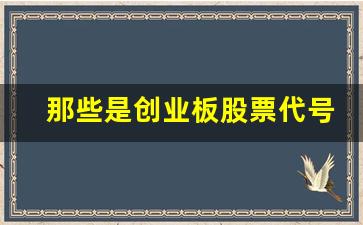 那些是创业板股票代号(创业板股票代码以什么开头)_https://www.luoxuangg888.com_科创板_第1张