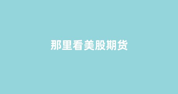 那里看美股期货(美股期货实时指数在哪儿可以看到)_https://www.xzdzcjx.com_科创板_第1张