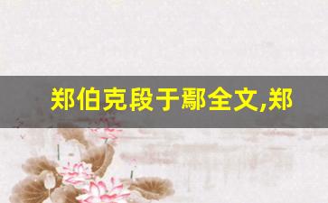 郑伯克段于鄢全文,郑伯克段于鄢讲了什么,郑伯克段于鄢经典句子-第1张图片-我的生活随想