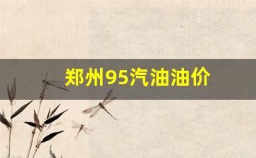 郑州95汽油油价-郑州95汽油价格