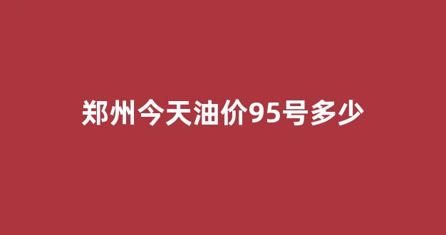 郑州今天油价95号多少_今日郑州的汽油95价格是多少