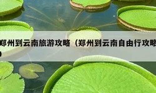 郑州旅游攻略自由行攻略一天推荐几次