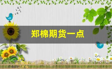 郑棉期货一点(郑棉期货今日实时行)_https://www.dcjwmf.com_郑商所_第1张