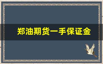 郑油期货一手保证金(期货一手保证金一览表)_https://www.xzdzcjn.com_科创板_第1张