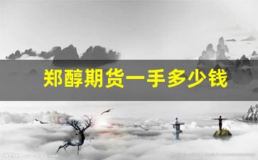 郑醇期货一手多少钱(期货里的郑醇就是甲醇吗)_https://www.fzdzcxj.com_深交所_第1张