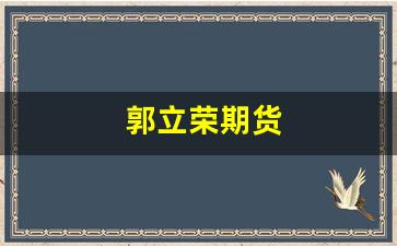 郭立荣期货(期货高手郭建勇)_https://www.xzdzcjn.com_深交所_第1张