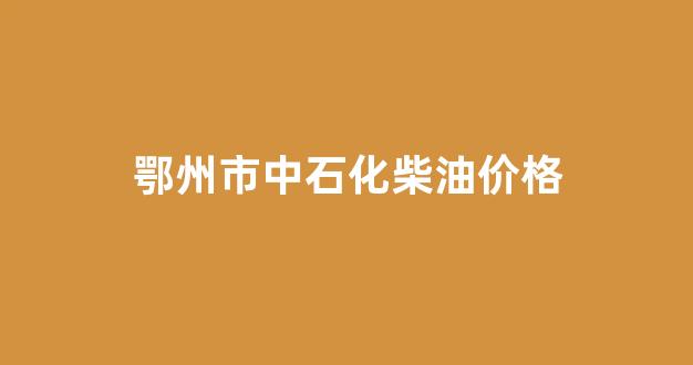 鄂州市中石化柴油价格多少_鄂州市中石化柴油价格