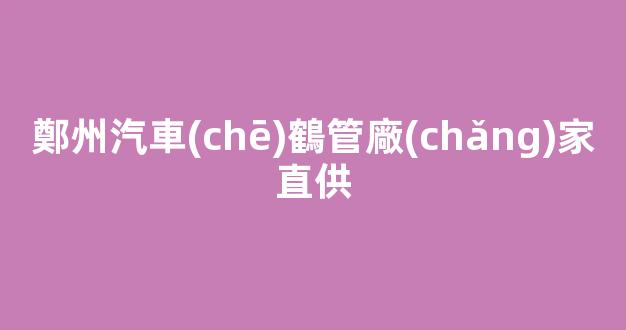鄭州汽車(chē)鶴管廠(chǎng)家直供(鄭州汽車(chē)鶴管廠(chǎng)家直供電話(huà))(1)