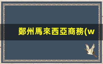 鄭州馬來西亞商務(wù)簽證