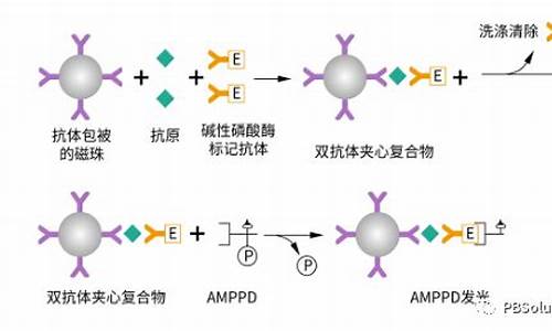 酶促发光和吖啶酯直接发光-吖啶酯作为发光剂的化学发光免疫测定