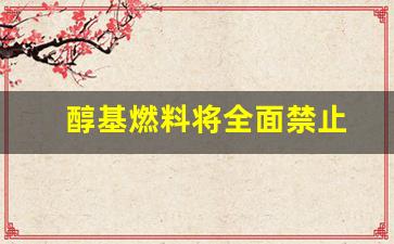 醇基燃料将全面禁止(醇基燃料全面禁止了吗)_https://www.wanyuyiyao.com_上交所_第1张