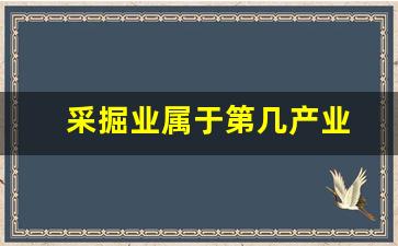 采掘业属于第几产业(采掘业属于第几产业类别)_https://www.hhem8.com_北交所_第1张