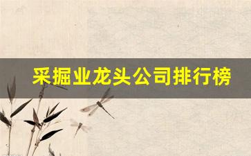 采掘业龙头公司排行榜(采掘服务第一龙头)_https://www.jnskb.com_效果图_第1张