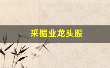 采掘业龙头股(采掘行业龙头股)_https://www.wanyuyiyao.com_创业板_第1张