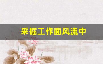 采掘工作面风流中(采掘工作面风流中氧气浓度不得低于)_https://www.wanyuyiyao.com_深交所_第1张