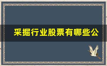 采掘行业股票有哪些公司上市(采掘板块有哪些强势股)_https://www.taocizhiliang.com_装修流程_第1张